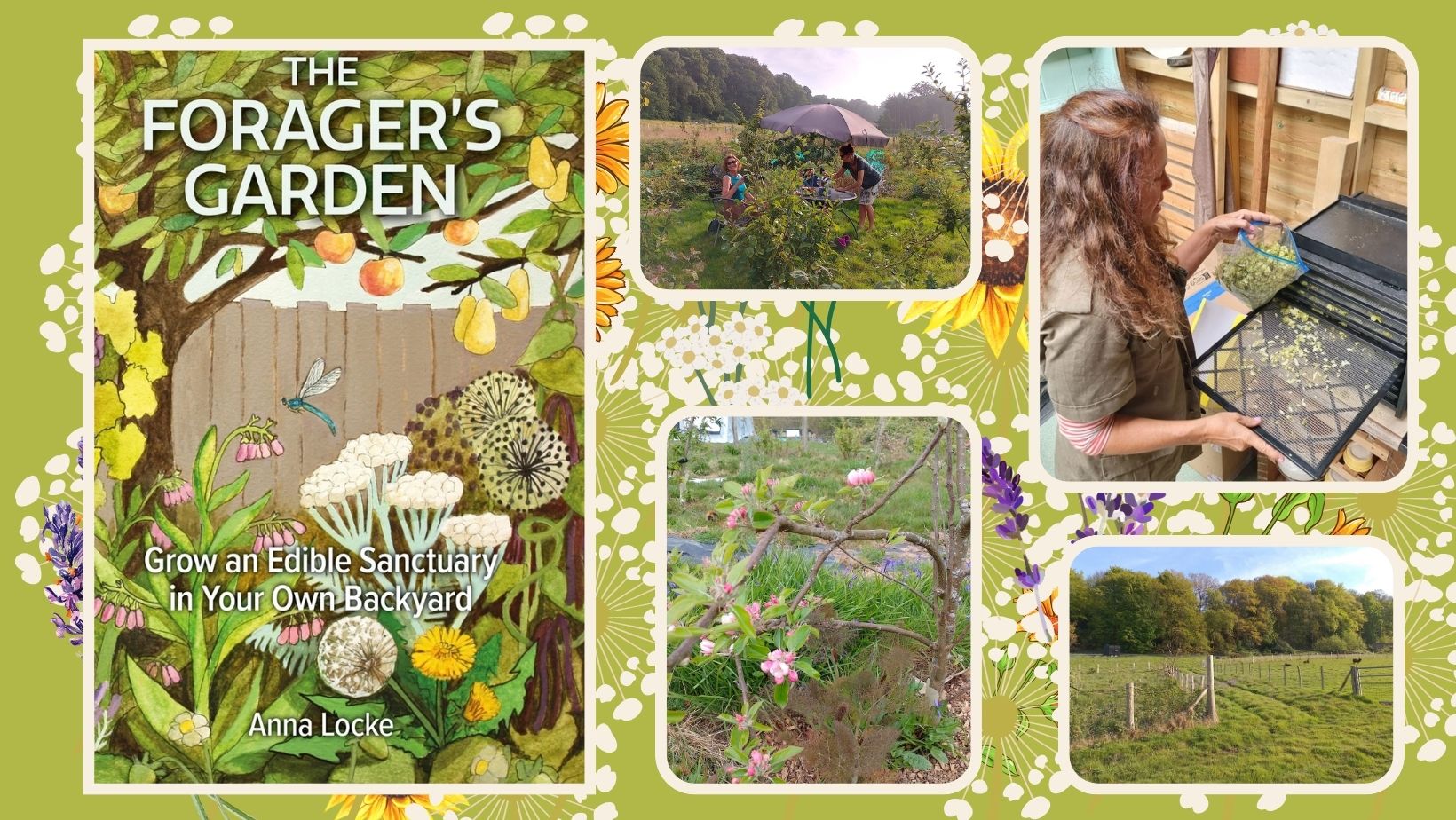 Observation and connection: An interview with The Forager’s Garden Author Anna Locke…