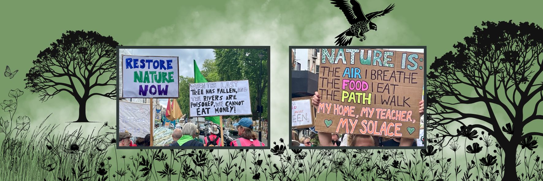 How Do You Ignite Your Inner Activist?